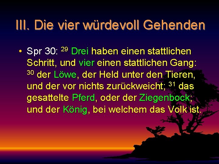 III. Die vier würdevoll Gehenden • Spr 30: 29 Drei haben einen stattlichen Schritt,