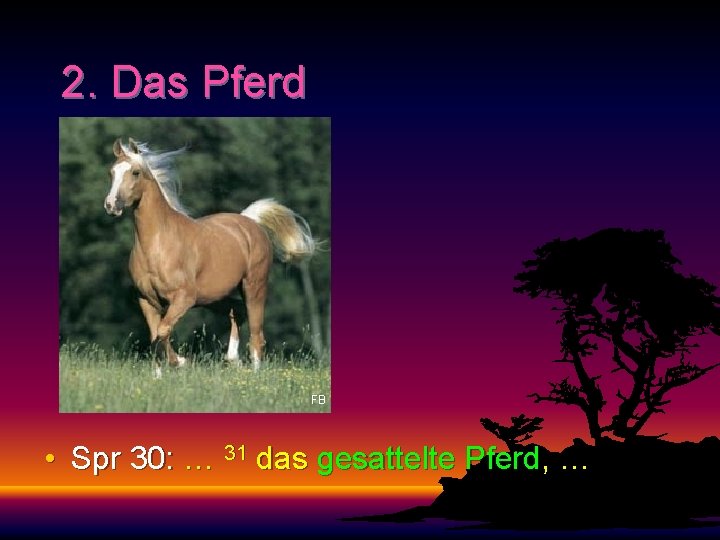 2. Das Pferd FB • Spr 30: … 31 das gesattelte Pferd, … 
