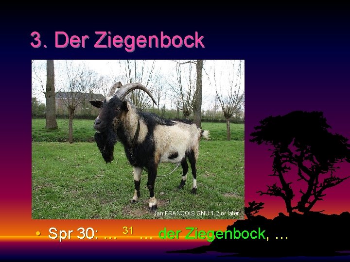 3. Der Ziegenbock Jan FRANCOIS GNU 1. 2 or later • Spr 30: …