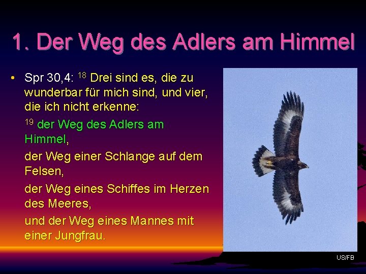 1. Der Weg des Adlers am Himmel • Spr 30, 4: 18 Drei sind