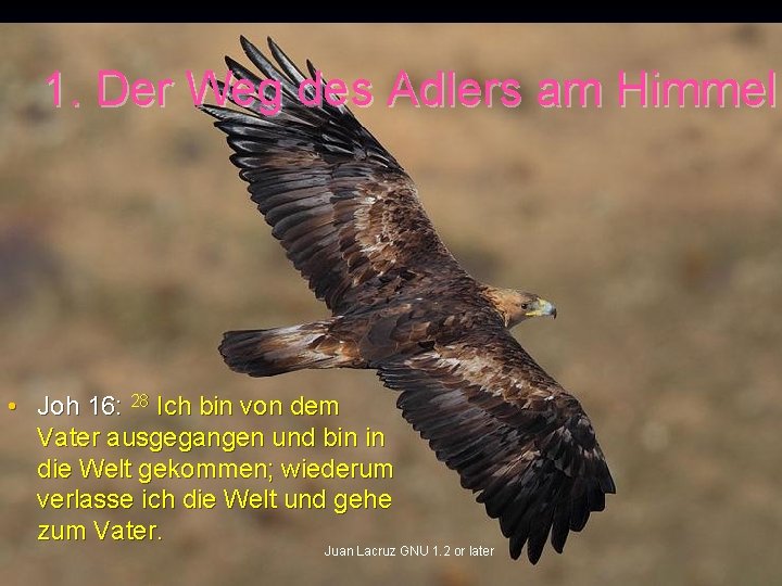 1. Der Weg des Adlers am Himmel • Joh 16: 28 Ich bin von