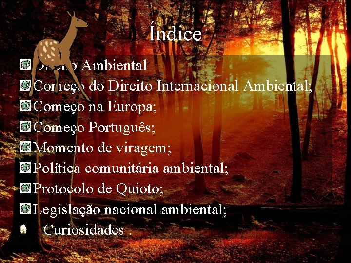 Índice Direito Ambiental Começo do Direito Internacional Ambiental; Começo na Europa; Começo Português; Momento