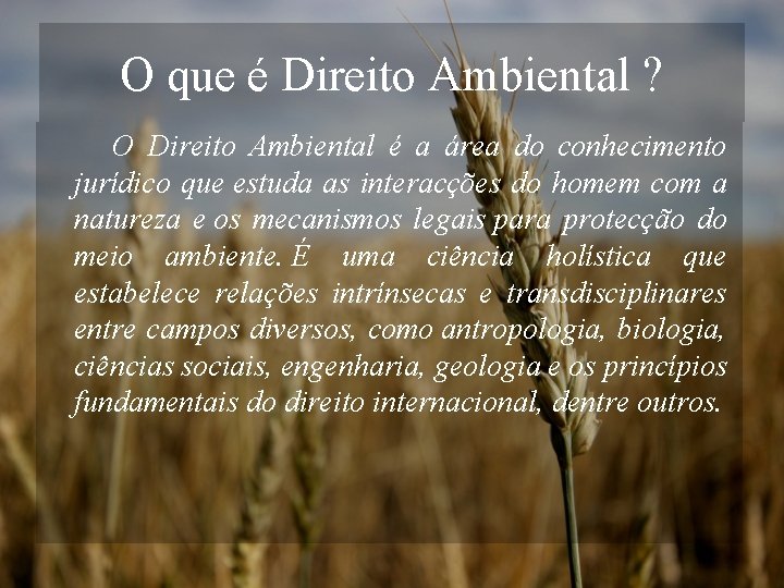 O que é Direito Ambiental ? O Direito Ambiental é a área do conhecimento