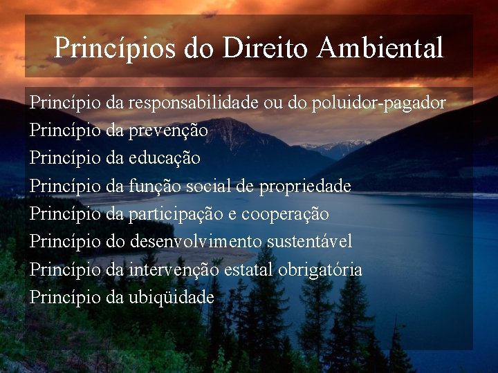 Princípios do Direito Ambiental Princípio da responsabilidade ou do poluidor-pagador Princípio da prevenção Princípio