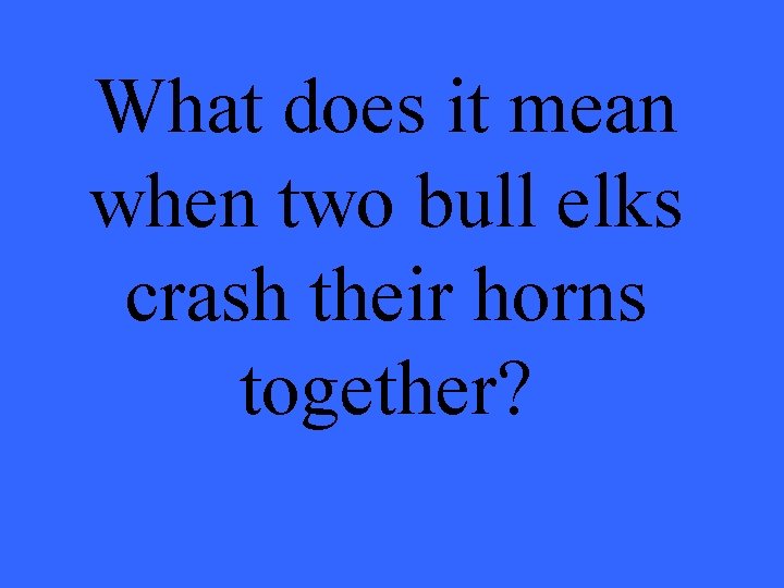 What does it mean when two bull elks crash their horns together? 