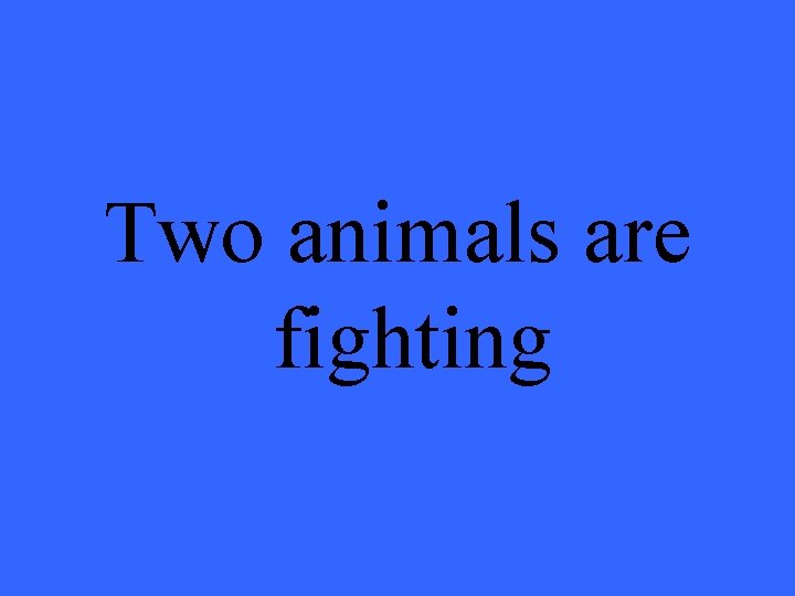 Two animals are fighting 