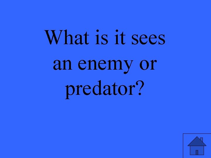 What is it sees an enemy or predator? 