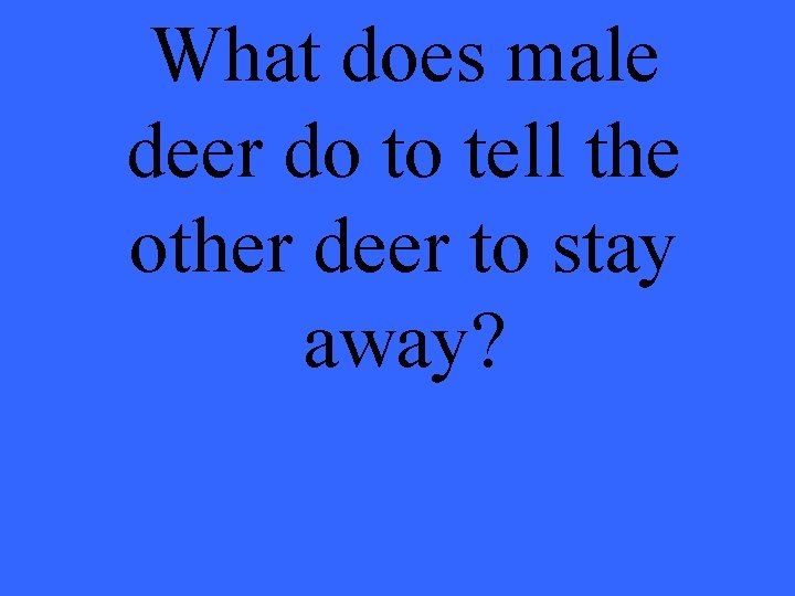 What does male deer do to tell the other deer to stay away? 