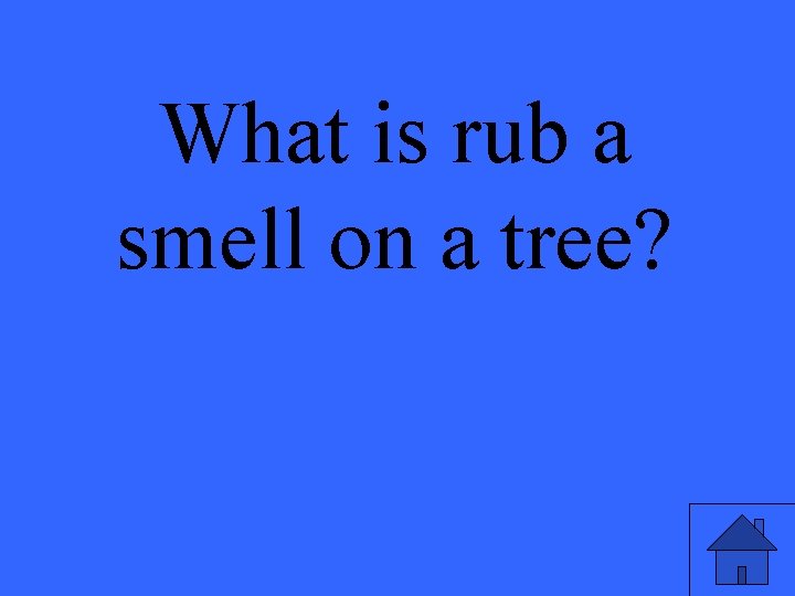 What is rub a smell on a tree? 