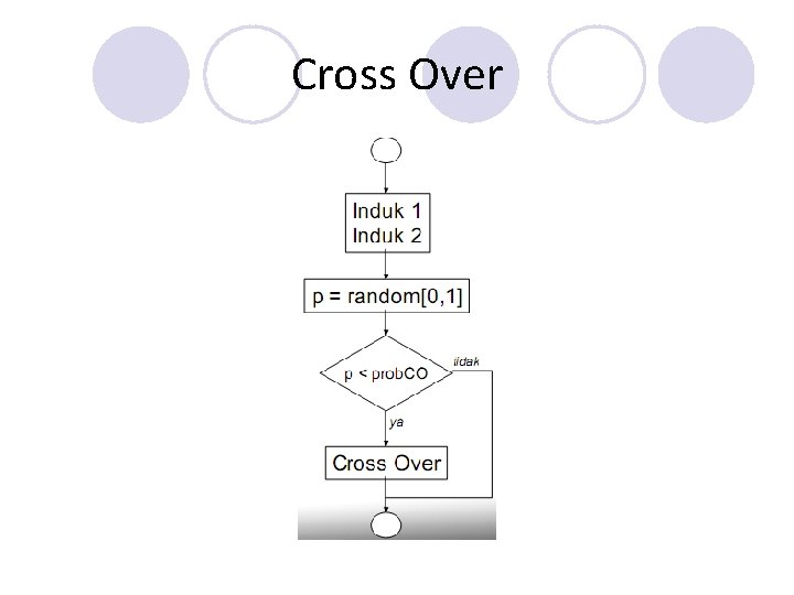 Cross Over Cross Over