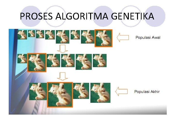 PROSES ALGORITMA GENETIKA PROSES ALGORITMA GENETIKA
