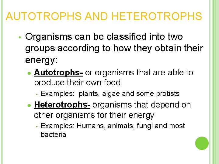 AUTOTROPHS AND HETEROTROPHS • Organisms can be classified into two groups according to how