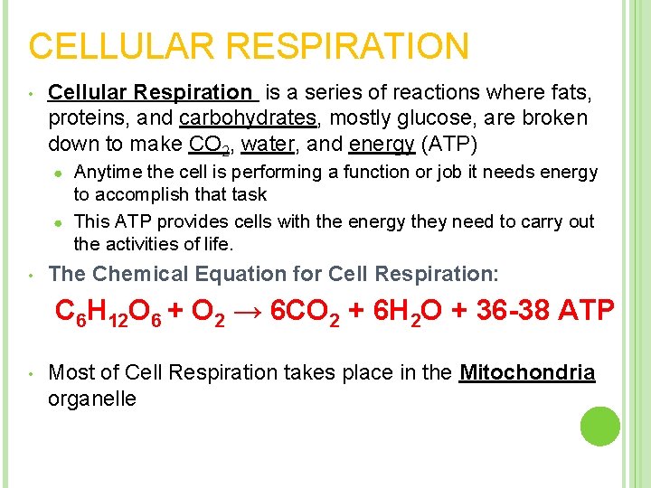 CELLULAR RESPIRATION • Cellular Respiration is a series of reactions where fats, proteins, and
