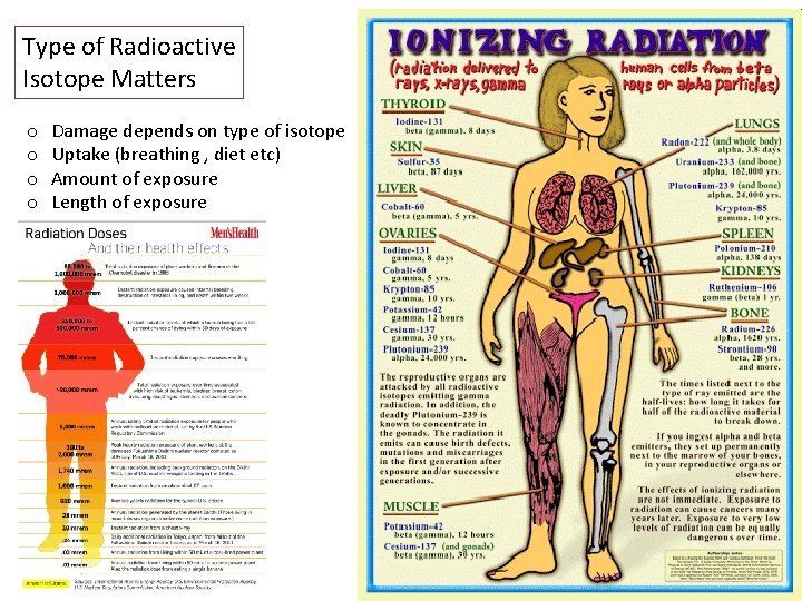 Type of Radioactive Isotope Matters o o Damage depends on type of isotope Uptake