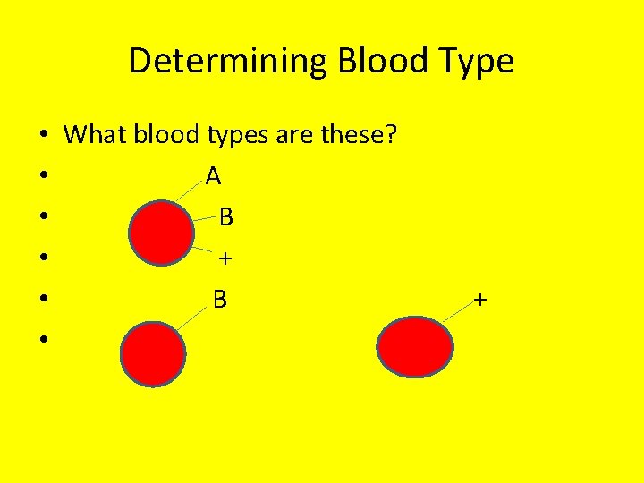 Determining Blood Type • What blood types are these? • A • B •