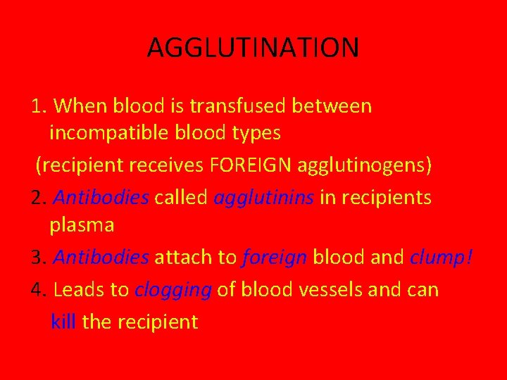 AGGLUTINATION 1. When blood is transfused between incompatible blood types (recipient receives FOREIGN agglutinogens)