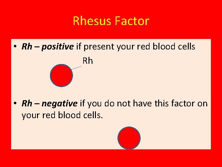 Rhesus Factor • Rh – positive if present your red blood cells Rh •