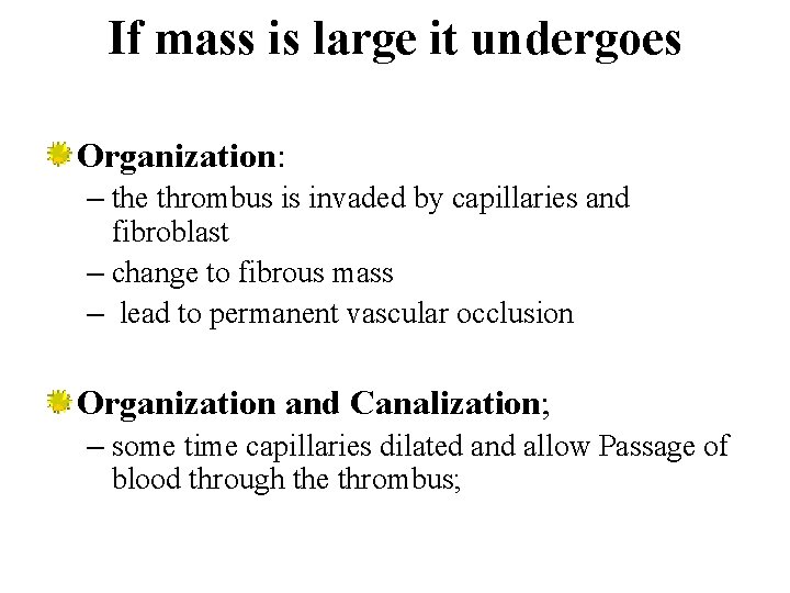 If mass is large it undergoes Organization: – the thrombus is invaded by capillaries