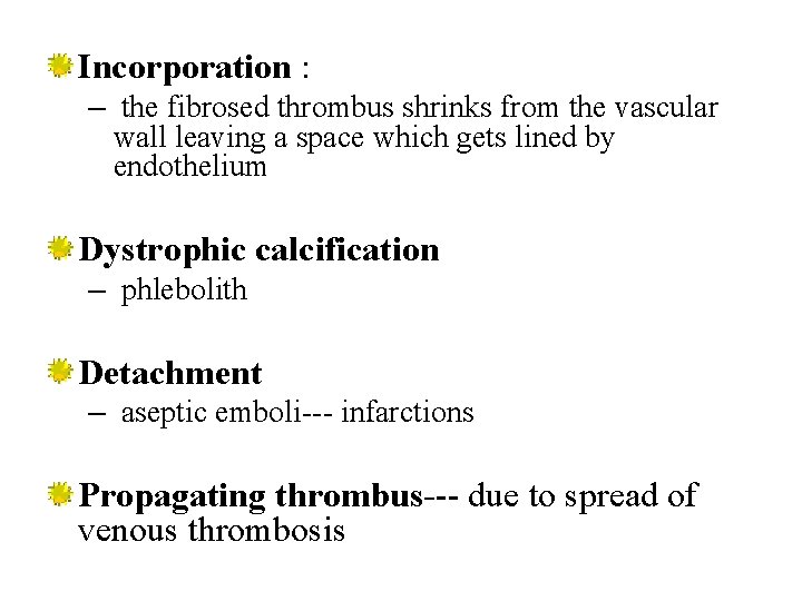Incorporation : – the fibrosed thrombus shrinks from the vascular wall leaving a space