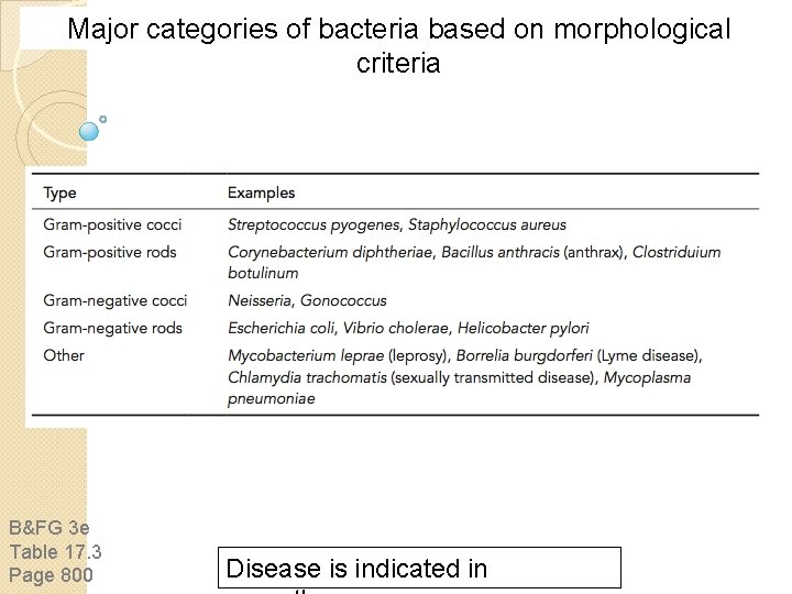Major categories of bacteria based on morphological criteria B&FG 3 e Table 17. 3
