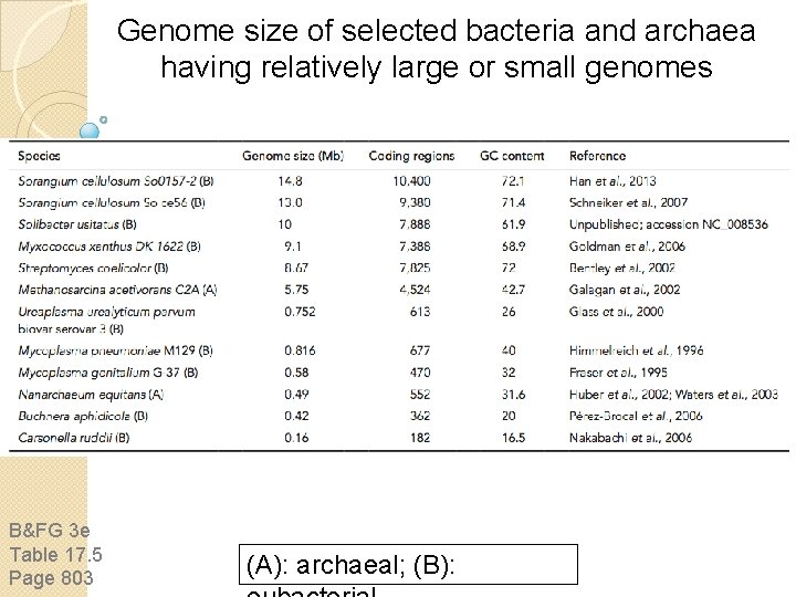 Genome size of selected bacteria and archaea having relatively large or small genomes B&FG