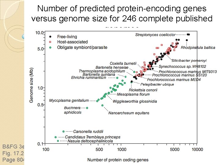 Number of predicted protein-encoding genes versus genome size for 246 complete published genomes B&FG