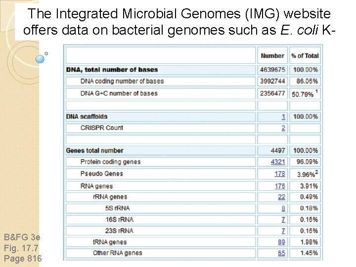 The Integrated Microbial Genomes (IMG) website offers data on bacterial genomes such as E.