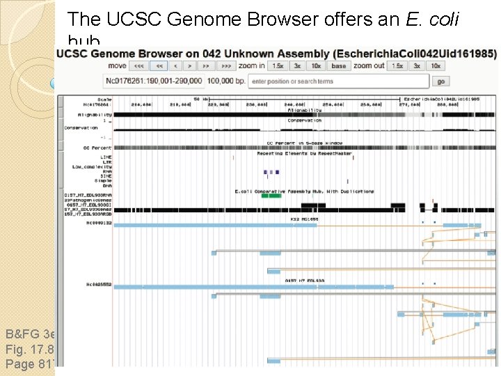 The UCSC Genome Browser offers an E. coli hub B&FG 3 e Fig. 17.