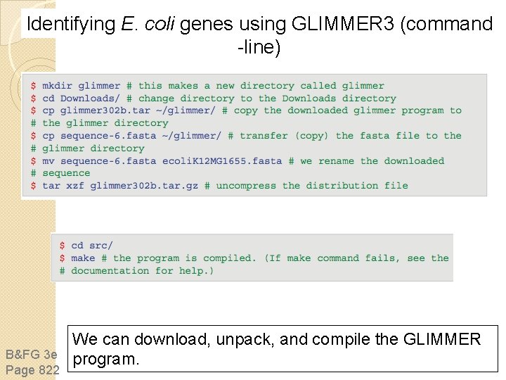 Identifying E. coli genes using GLIMMER 3 (command -line) B&FG 3 e Page 822