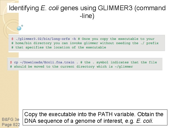 Identifying E. coli genes using GLIMMER 3 (command -line) B&FG 3 e Page 822