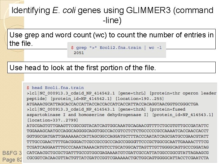 Identifying E. coli genes using GLIMMER 3 (command -line) Use grep and word count