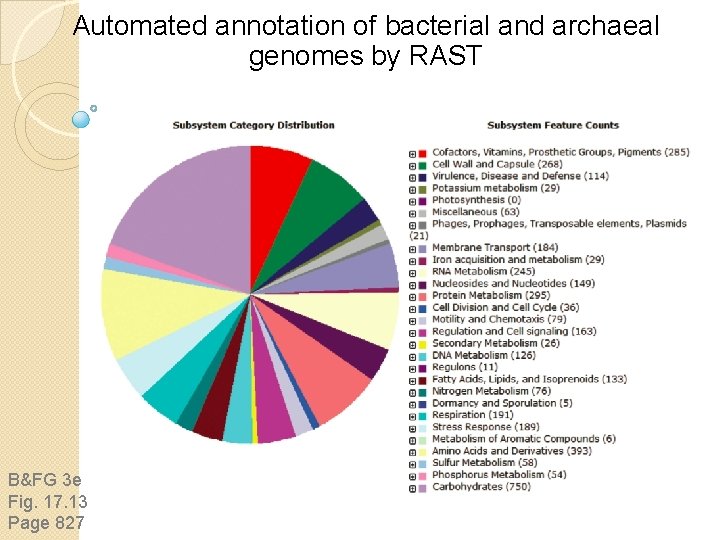 Automated annotation of bacterial and archaeal genomes by RAST B&FG 3 e Fig. 17.