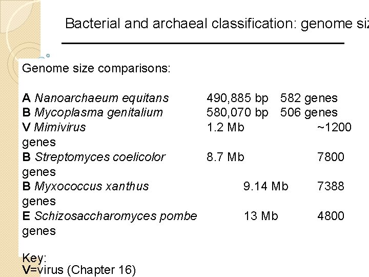 Bacterial and archaeal classification: genome siz Genome size comparisons: A Nanoarchaeum equitans B Mycoplasma