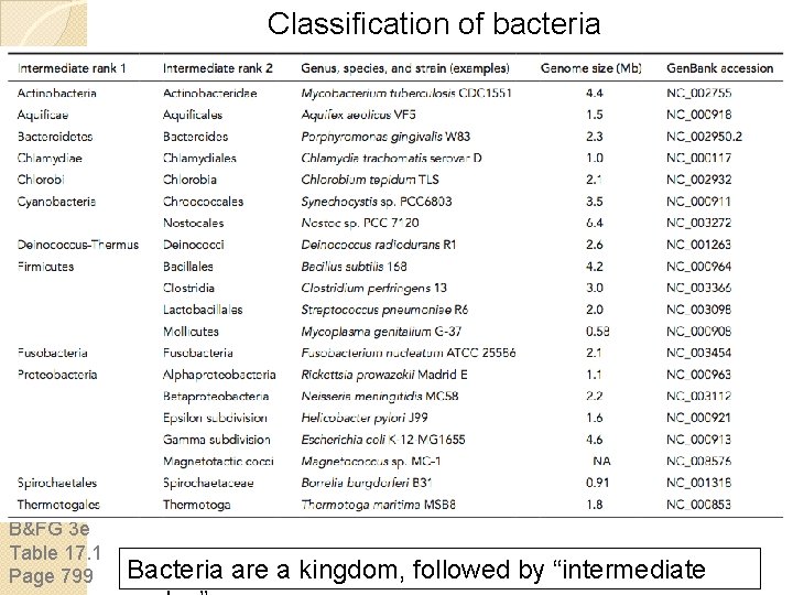 Classification of bacteria B&FG 3 e Table 17. 1 Page 799 Bacteria are a