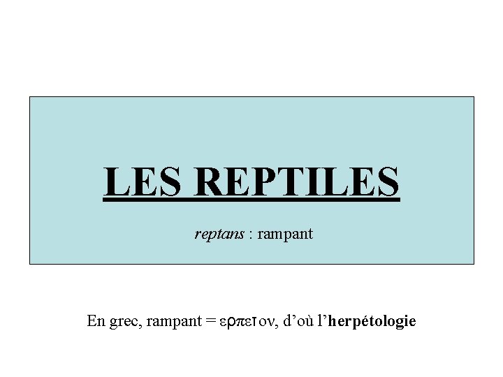 LES REPTILES reptans : rampant En grec, rampant = ερπετον, d’où l’herpétologie 