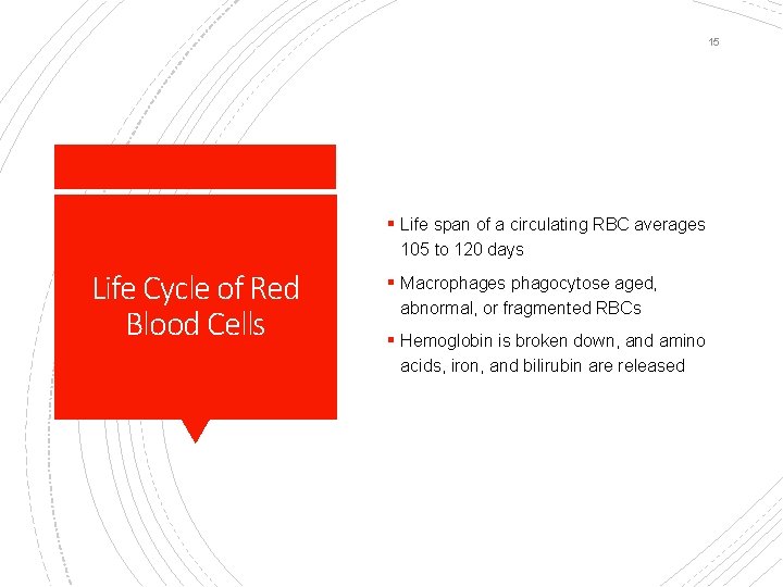 15 § Life span of a circulating RBC averages 105 to 120 days Life