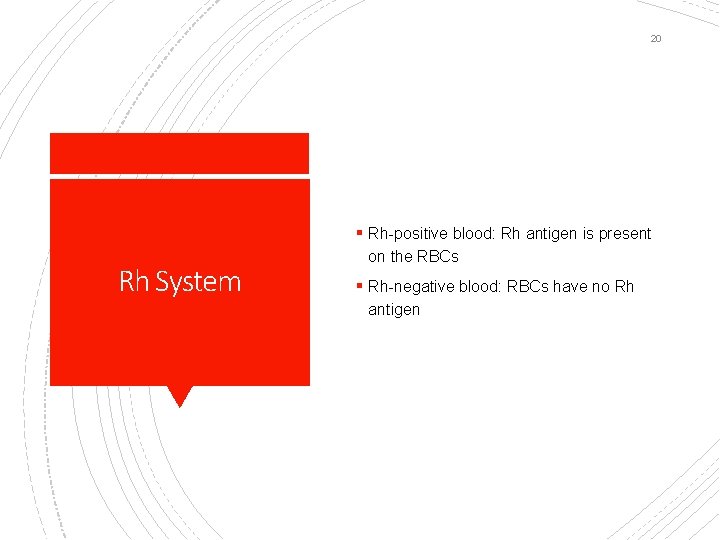 20 § Rh-positive blood: Rh antigen is present Rh System on the RBCs §