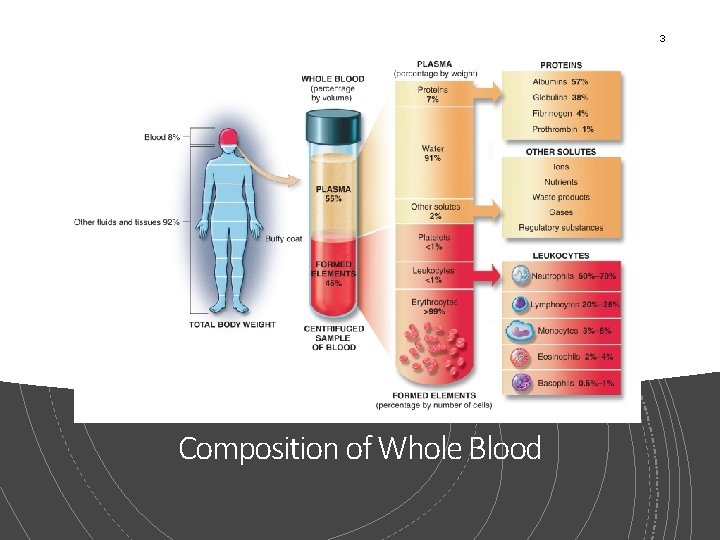 3 Composition of Whole Blood 