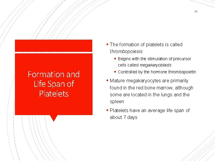 35 § The formation of platelets is called thrombopoiesis § Begins with the stimulation