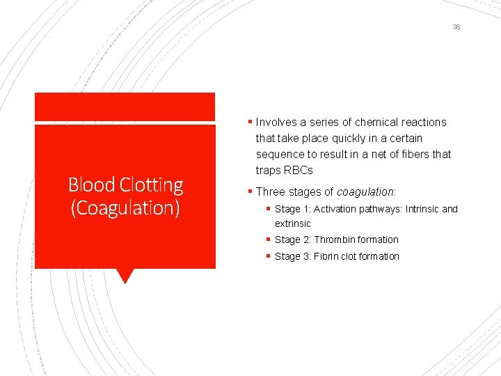 38 § Involves a series of chemical reactions Blood Clotting (Coagulation) that take place