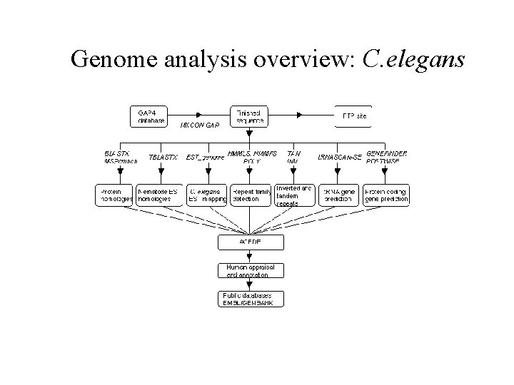 Genome analysis overview: C. elegans 