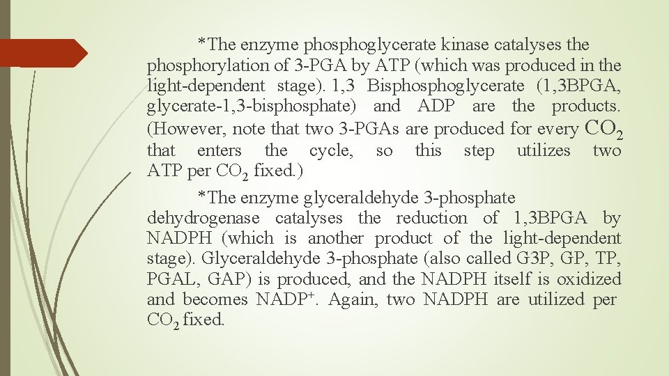 *The enzyme phosphoglycerate kinase catalyses the phosphorylation of 3 -PGA by ATP (which was