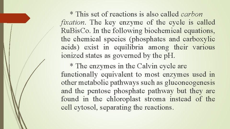 * This set of reactions is also called carbon fixation. The key enzyme of