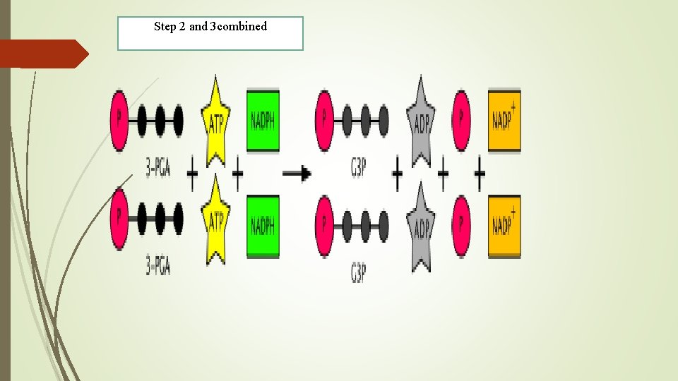 Step 2 and 3 combined 