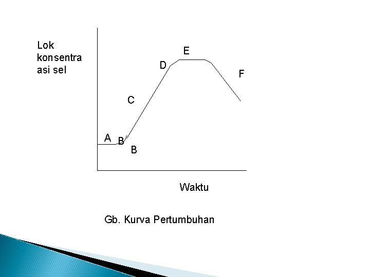 Lok konsentra asi sel E D F C A B B Waktu Gb. Kurva