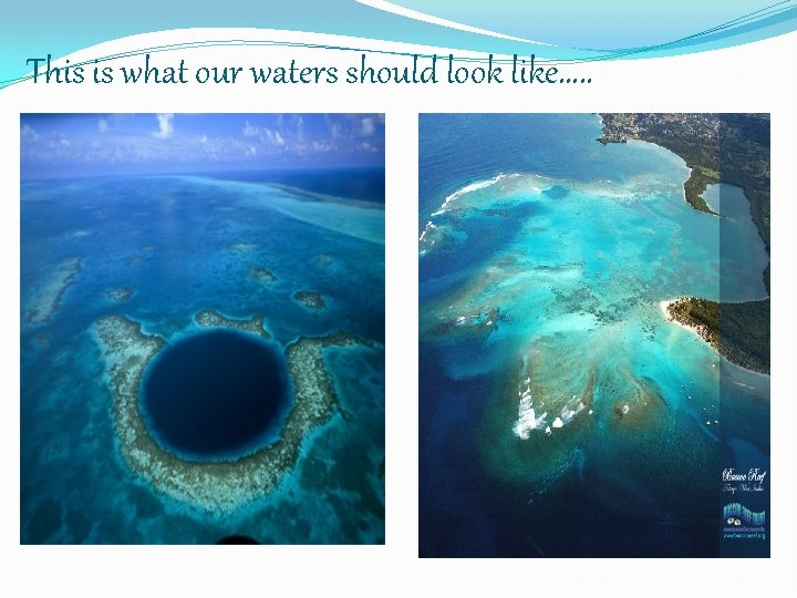 This is what our waters should look like…. . 