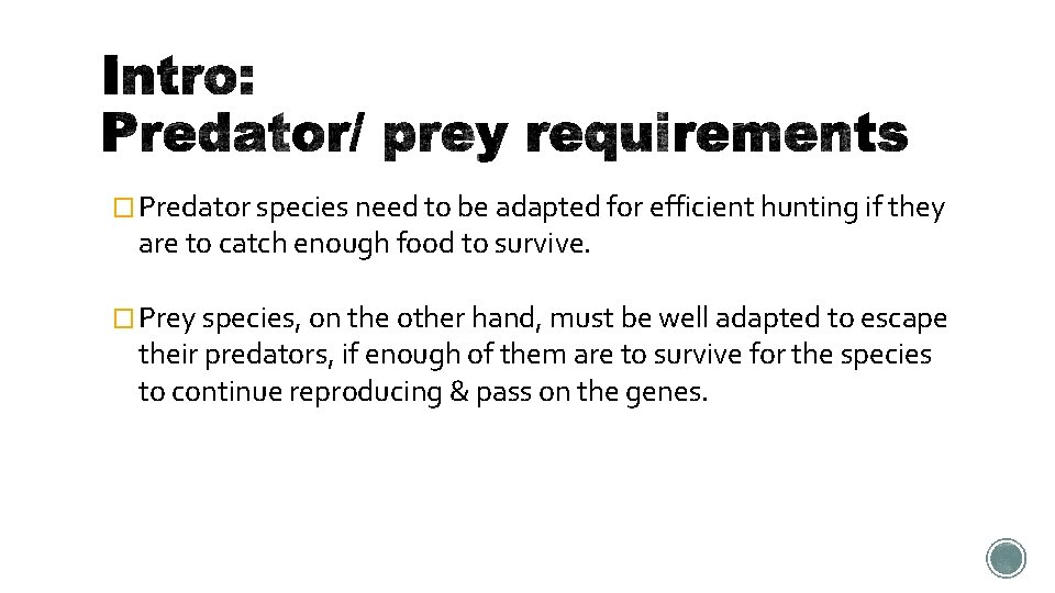 � Predator species need to be adapted for efficient hunting if they are to