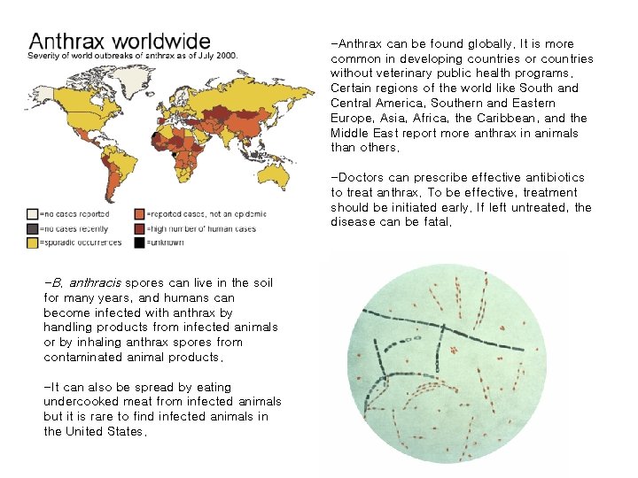 -Anthrax can be found globally. It is more common in developing countries or countries