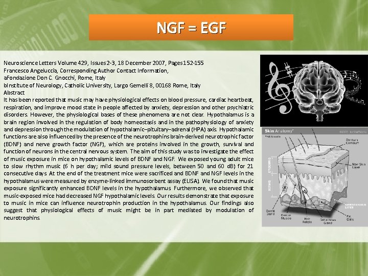 NGF = EGF Neuroscience Letters Volume 429, Issues 2 -3, 18 December 2007, Pages