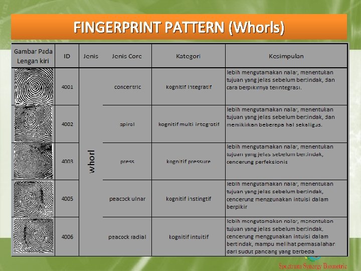 FINGERPRINT PATTERN (Whorls) 